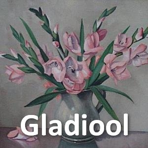 gladiool