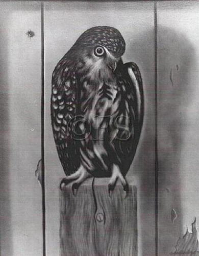 17