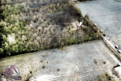 Pantom1-Colorized-Enhanced