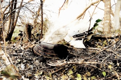 Pantom10-Colorized-Enhanced-Repaired