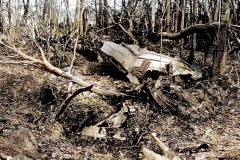 Pantom7-Colorized-Enhanced