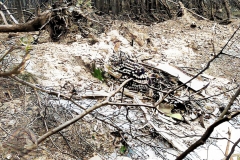 Pantom8-Colorized-Enhanced