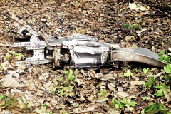 Pantom9-Colorized-Enhanced